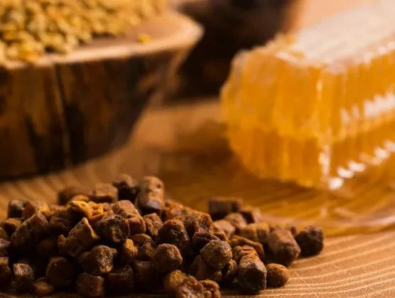 propolis bee
