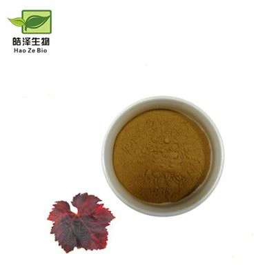 Extrait de feuille de vigne rouge