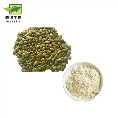 Poudre de protéines de graines de citrouille