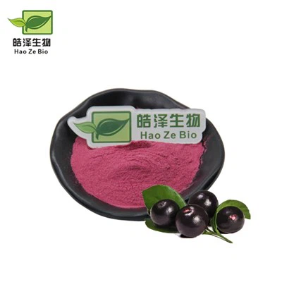 Poudre brésilienne de baies d'açai