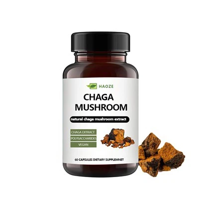Capsules de champignons chaga