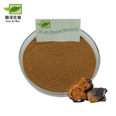 Extrait de champignons Chaga