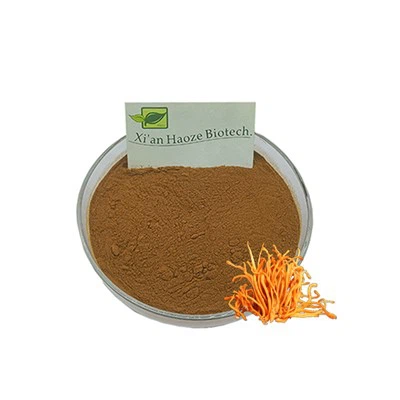 Cordyceps extrait la poudre