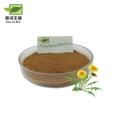 Poudre d'extrait de pissenlit