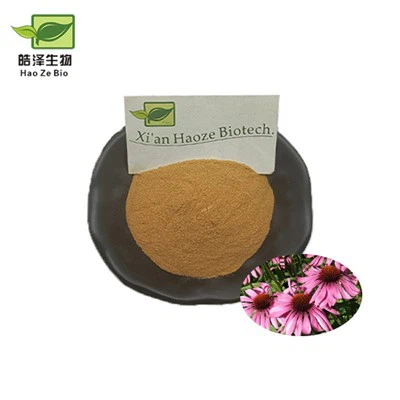 Extrait d'échinacée