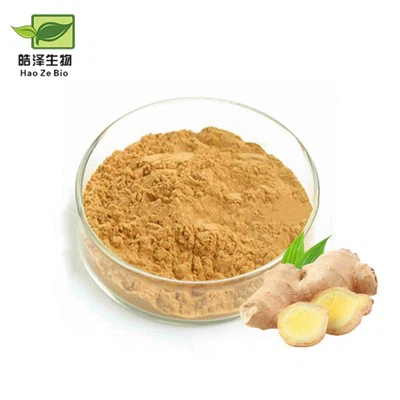 Poudre d'extrait de gingembre