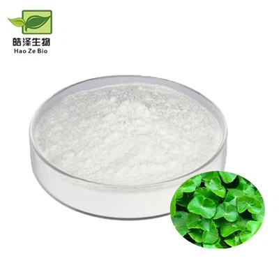 Gutu kola extrait de poudre