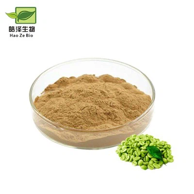 Poudre d'extrait de grains de café vert