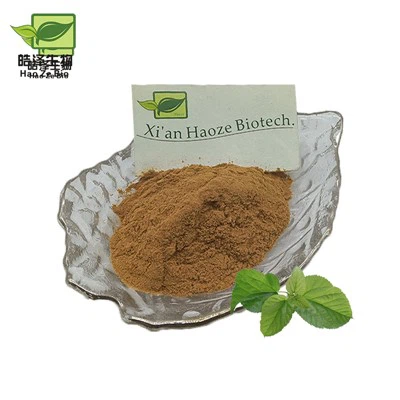 Poudre d'extrait de feuilles de mûrier