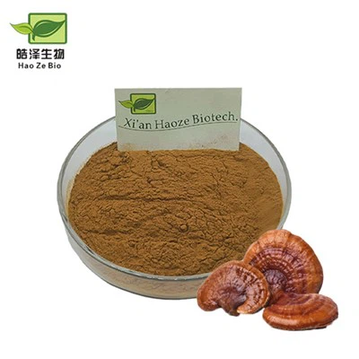 En gros de la poudre d'extrait de reishi