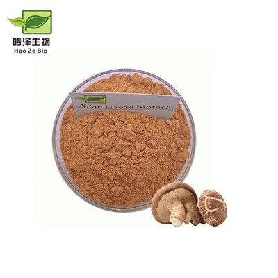 Extrait de champignons shiitake