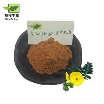 Tribulus terrestis Extrait de poudre