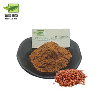 Extrait de graines de date de la colonne vertébrale