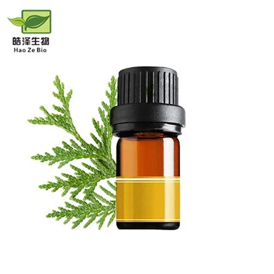Huile de feuille de Thuya Occidentalis
