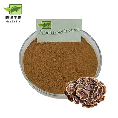 Extrait de champignons de la queue de dinde